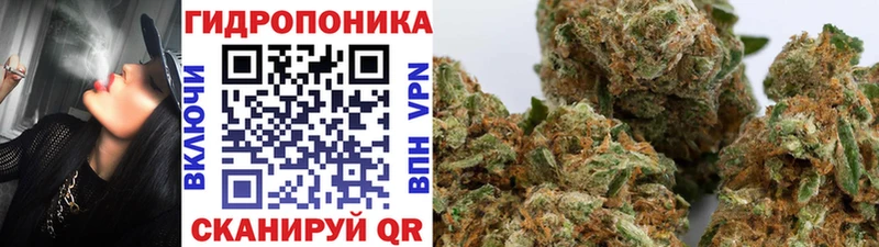 Что такое Богородск кракен ТОР  Мефедрон  Гашиш 