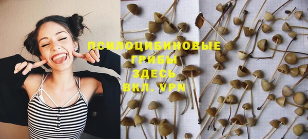 прущая мука Балахна